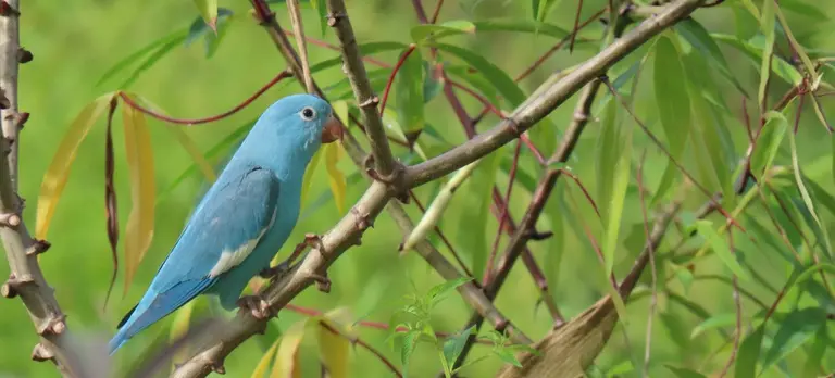 5b27f8ba-bb06-4b20-aeb7-514be039930c