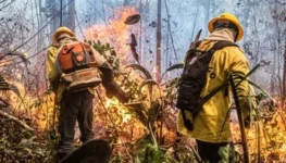 7b779f6c-96f4-4a41-bd34-36c7162c4941