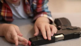 Armas_de_fogo_2_534e407bc6