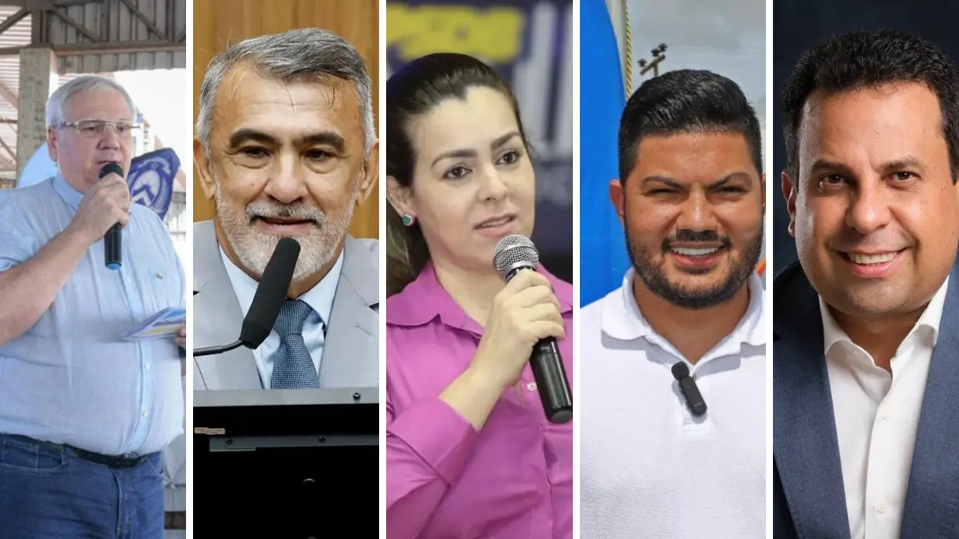 Galeria de 6 Imagens (10)