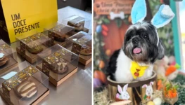 Galeria de 6 Imagens