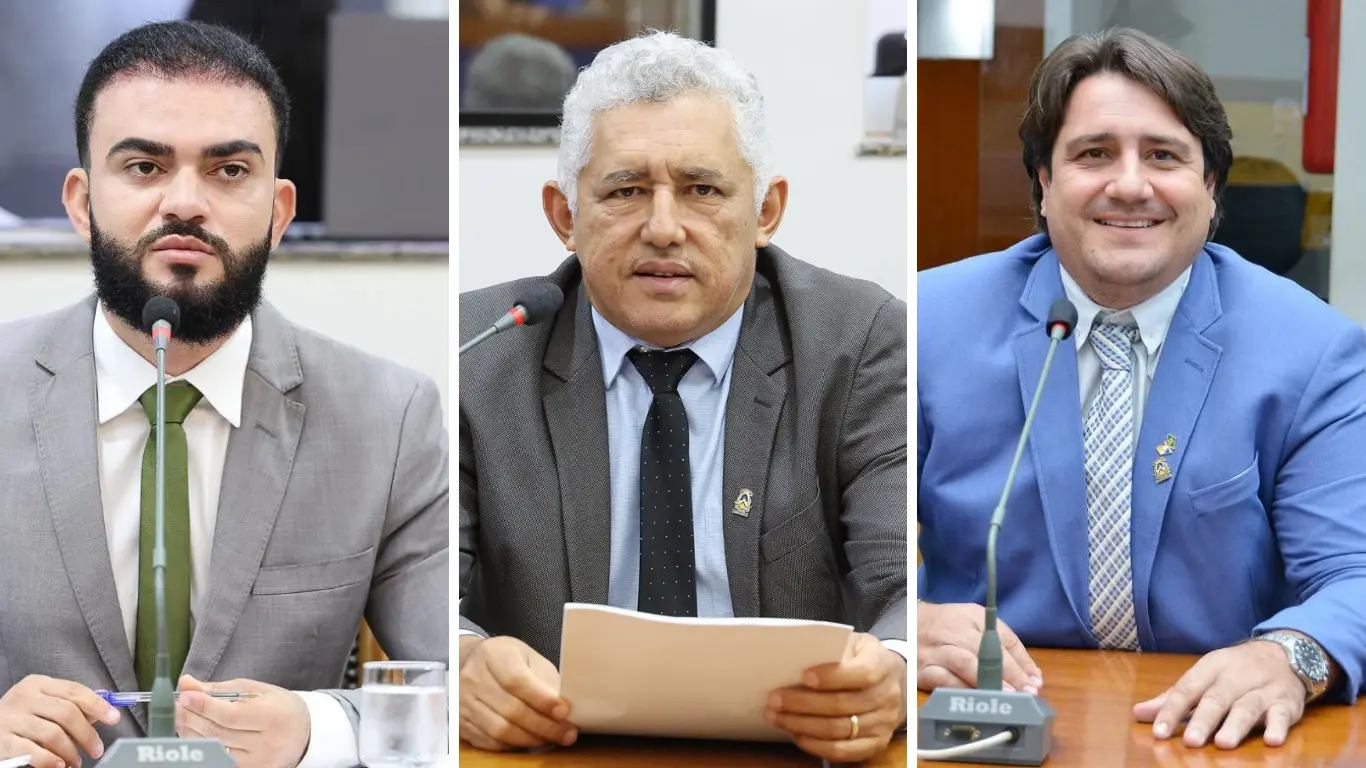 Galeria de 6 Imagens