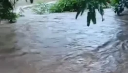 WhatsApp Image 2026-04-03 at 16.31.31