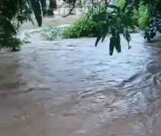 WhatsApp Image 2026-04-03 at 16.31.31