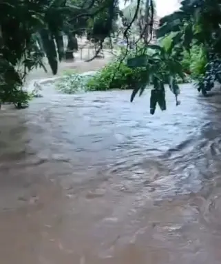 WhatsApp Image 2026-04-03 at 16.31.31