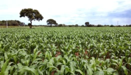 WhatsApp Image 2026-04-07 at 10.36.04