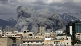 WhatsApp Image 2026-04-08 at 17.23.36