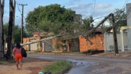 WhatsApp Image 2026-04-09 at 09.20.15