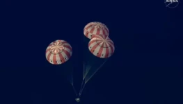 WhatsApp Image 2026-04-11 at 11.36.46