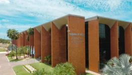 WhatsApp Image 2026-04-11 at 18.01.59