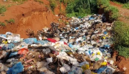 WhatsApp Image 2026-04-13 at 11.04.48