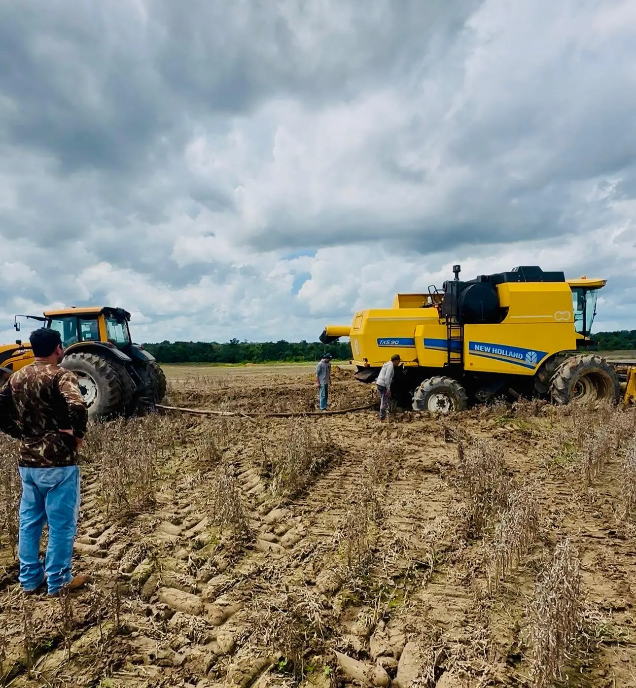 WhatsApp Image 2026-04-14 at 17.22.33