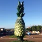 26854_miranorte-tocantins-jpg