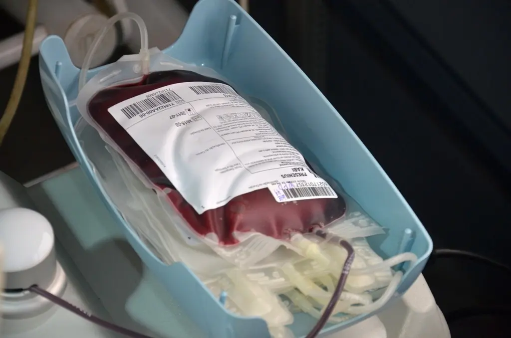 Bolsa de doação de sangue durante coleta Foto Heitor Iglesias (73)