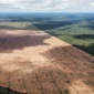 Captura de tela 2026-05-01 140922
