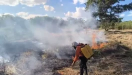 Equipe da Defesa Civil atua no combate a incêndio em campo aberto no Jardim Taquari - Defesa Civil