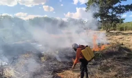 Equipe da Defesa Civil atua no combate a incêndio em campo aberto no Jardim Taquari - Defesa Civil