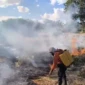 Equipe da Defesa Civil atua no combate a incêndio em campo aberto no Jardim Taquari - Defesa Civil