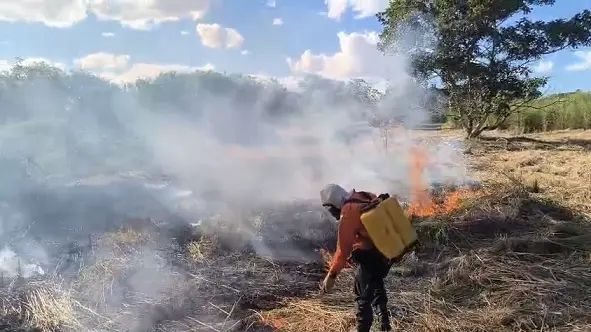 Equipe da Defesa Civil atua no combate a incêndio em campo aberto no Jardim Taquari - Defesa Civil