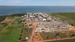 F1-AGROTINS 2025-Foto-Edes Pereira-GovTO-1