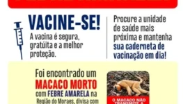 image (18)