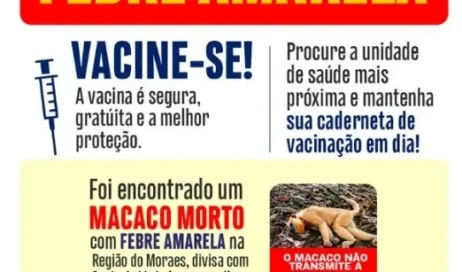 image (18)