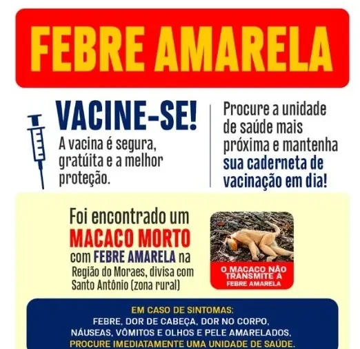 image (18)