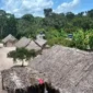 image (5)