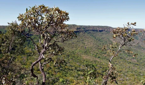 F2-Monitoramentos atuais não diferenciam queima legal da queima ilegal, mas o Tocantins - Foto Marcel de Paula