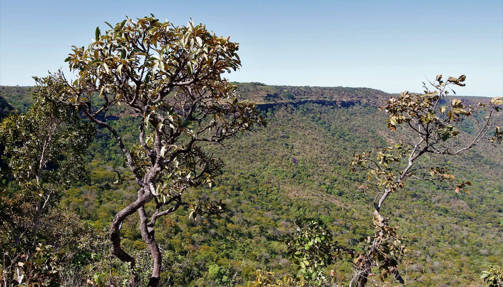 F2-Monitoramentos atuais não diferenciam queima legal da queima ilegal, mas o Tocantins - Foto Marcel de Paula