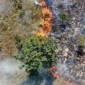 F3 Atenção da população e a adoção de cuidados no dia a dia são fundamentais para reduzir a ocorrência de focos de fogo durante a estiagem -Foto-Arquivo Gov TO