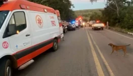 tragedia-na-br-010-e1783409057477