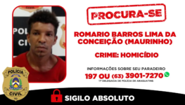 ARAGUATINS-SITE