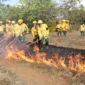 F2- Manejo de Fogo- Foto Vinicius Venâncio Governo do Tocantins