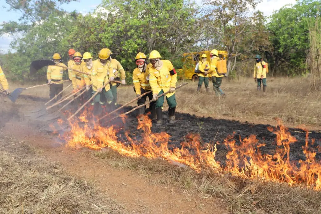 F2- Manejo de Fogo- Foto Vinicius Venâncio Governo do Tocantins