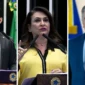 Galeria de 6 Imagens (50)
