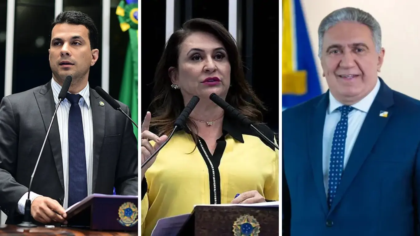 Galeria de 6 Imagens (50)