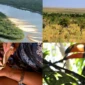 Galeria de 6 Imagens (8)