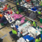 image - 2026-08-25T135222.203