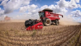 municipios-do-para-e-tocantins-lideram-ranking-da-producao-agricola-na-regiao-norte-0c54d