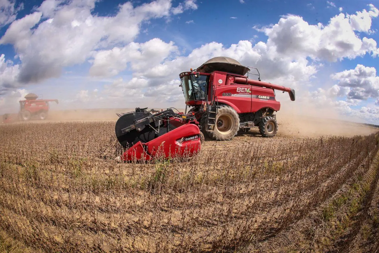 municipios-do-para-e-tocantins-lideram-ranking-da-producao-agricola-na-regiao-norte-0c54d