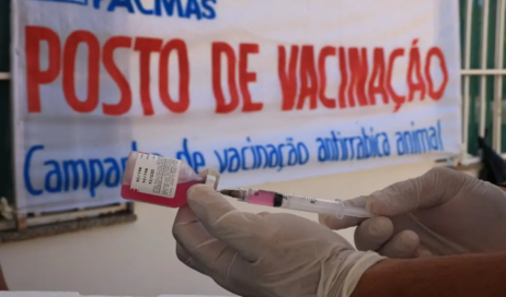Vacinação periódica é fundamental para manter a raiva sob controle e reduzir o risco de transmissão para a população