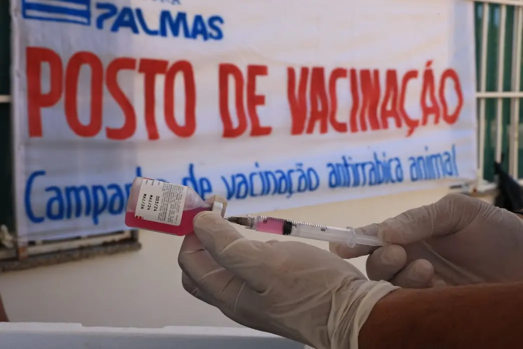 Vacinação periódica é fundamental para manter a raiva sob controle e reduzir o risco de transmissão para a população
