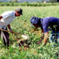 Atlas_HOME_MarceloCamargo_AgenciaBrasil