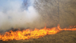 crise-climatica-n.jpg
