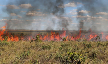 F1 - Naturatins - governo do Tocantins