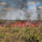 F1 - Naturatins - governo do Tocantins