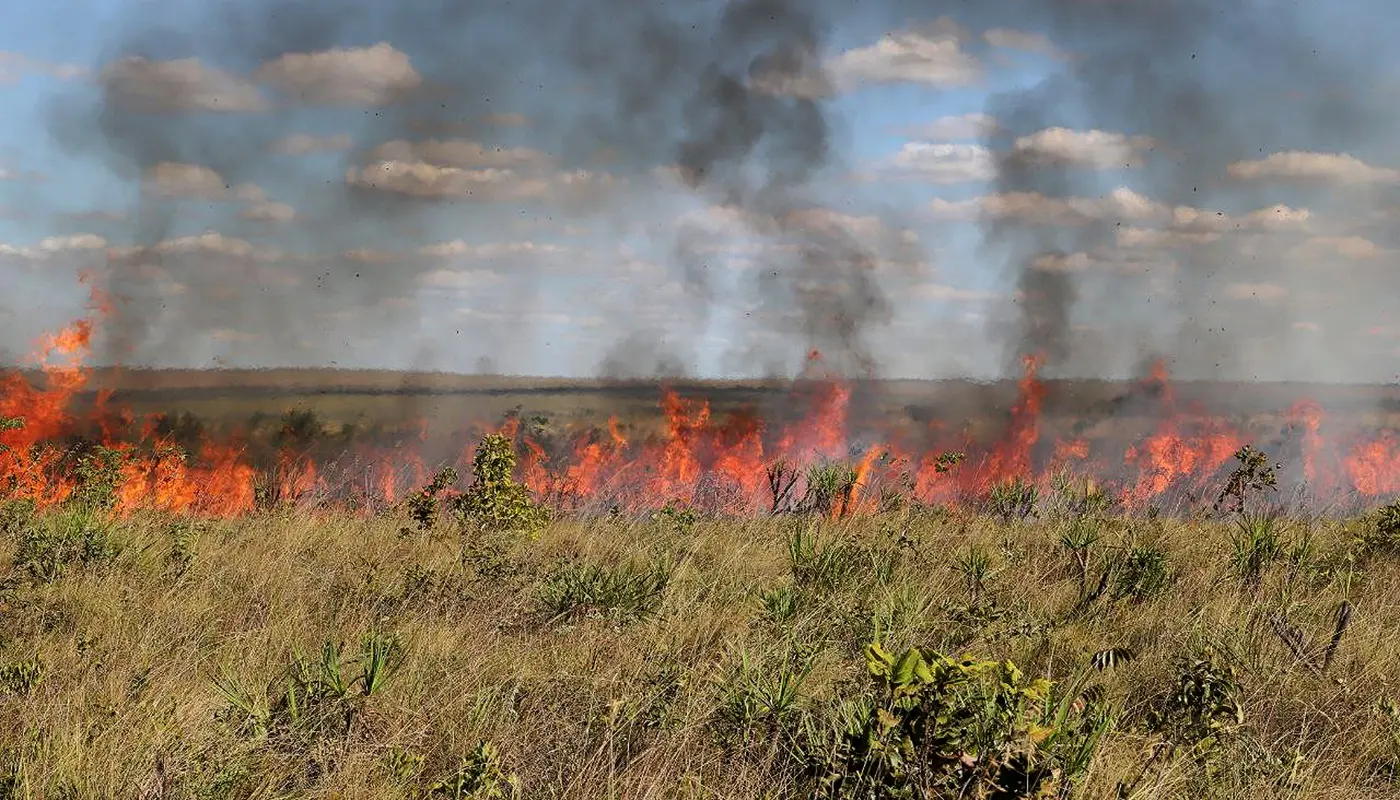 F1 - Naturatins - governo do Tocantins